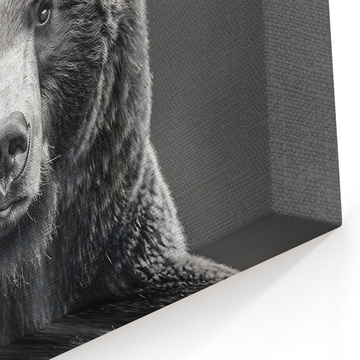 Majestic Black Bear Portrait – Captivating Wildlife Wall Art Print