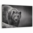 Fierce Black Bear on the Prowl – Bold Monochrome Wildlife Wall Art
