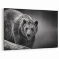 Fierce Black Bear on the Prowl – Bold Monochrome Wildlife Wall Art