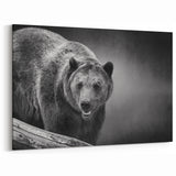 Fierce Black Bear on the Prowl – Bold Monochrome Wildlife Wall Art