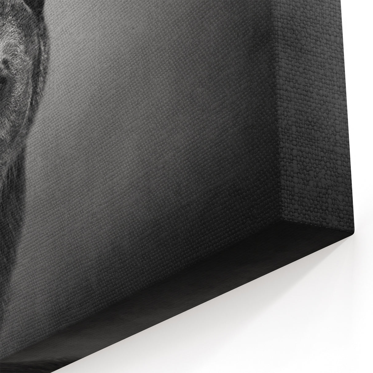 Fierce Black Bear on the Prowl – Bold Monochrome Wildlife Wall Art