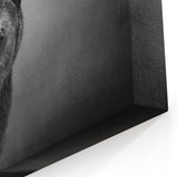 Fierce Black Bear on the Prowl – Bold Monochrome Wildlife Wall Art