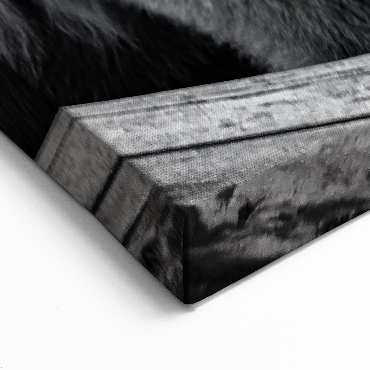 Fierce Black Bear on the Prowl – Bold Monochrome Wildlife Wall Art