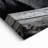 Fierce Black Bear on the Prowl – Bold Monochrome Wildlife Wall Art