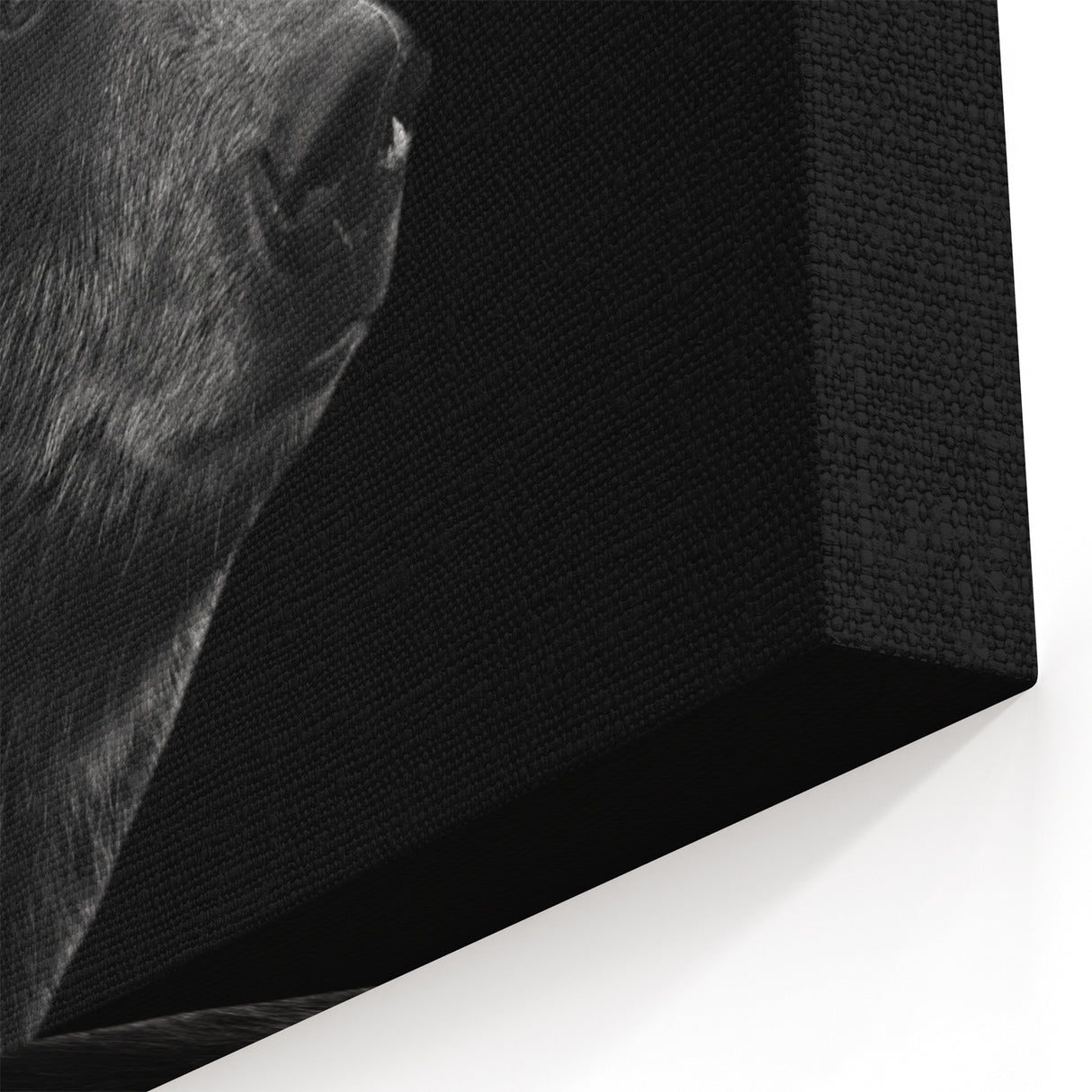Majestic Black Bear Silhouette – Elegant Monochrome Wildlife Wall Art