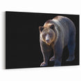 Powerful Brown Bear – Striking Wildlife Wall Art Print on Black