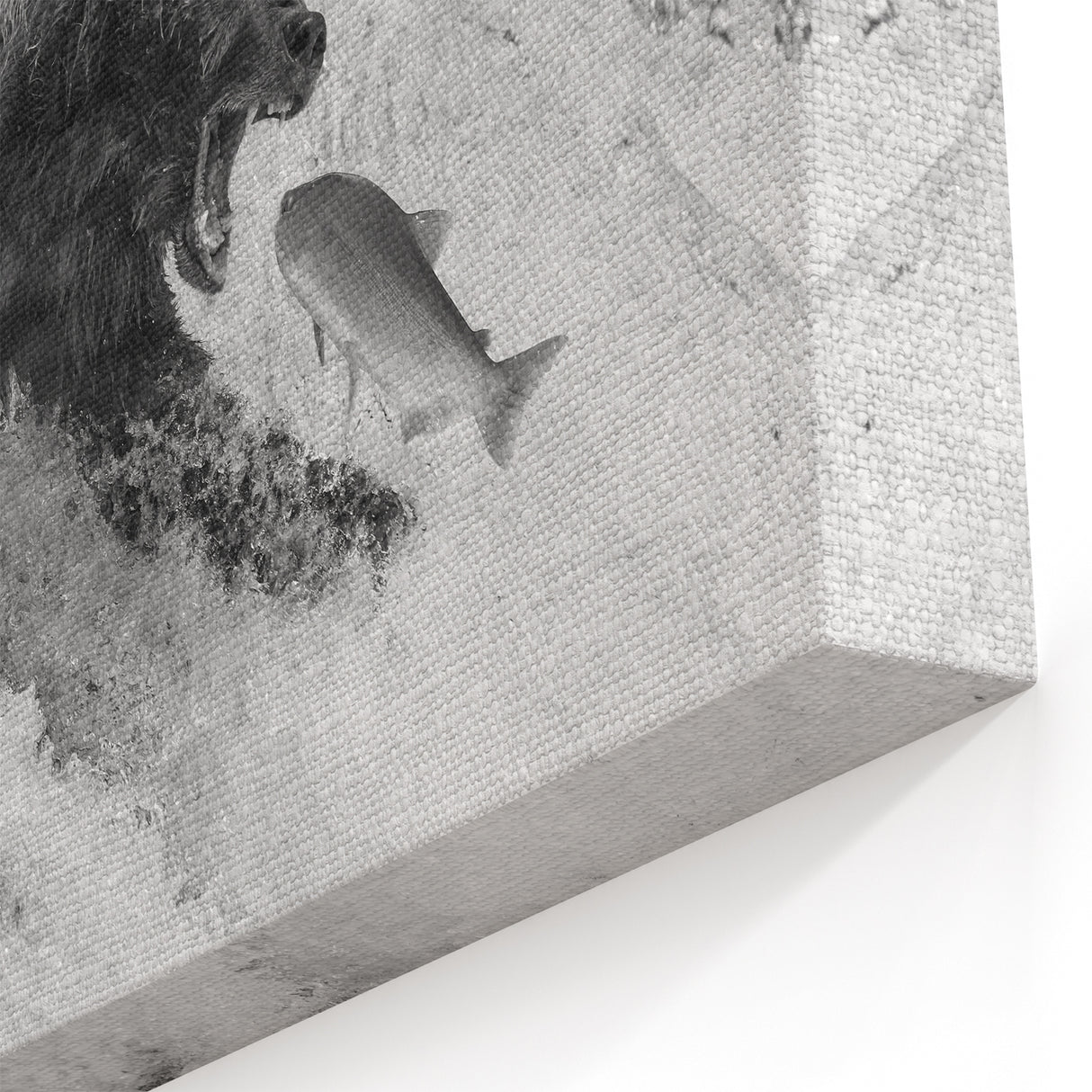Majestic Bear Wall Art - Stunning Wildlife Photography Canvas Print