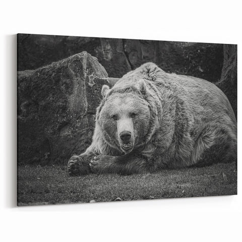Powerful Bear Wall Art - Captivating Wildlife Photography Canvas