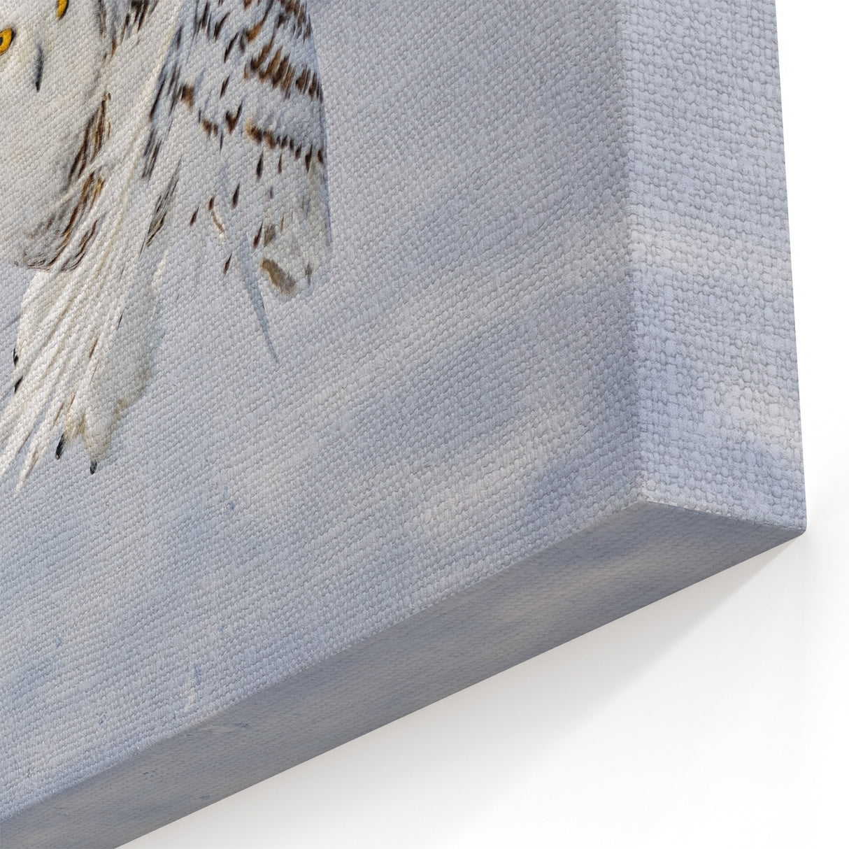 Graceful Snowy Owl Wall Art - Majestic Birds of Prey Winter Canvas