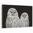 Elegant Owl Duo Wall Art - Majestic Black and White Birds of Prey Canvas