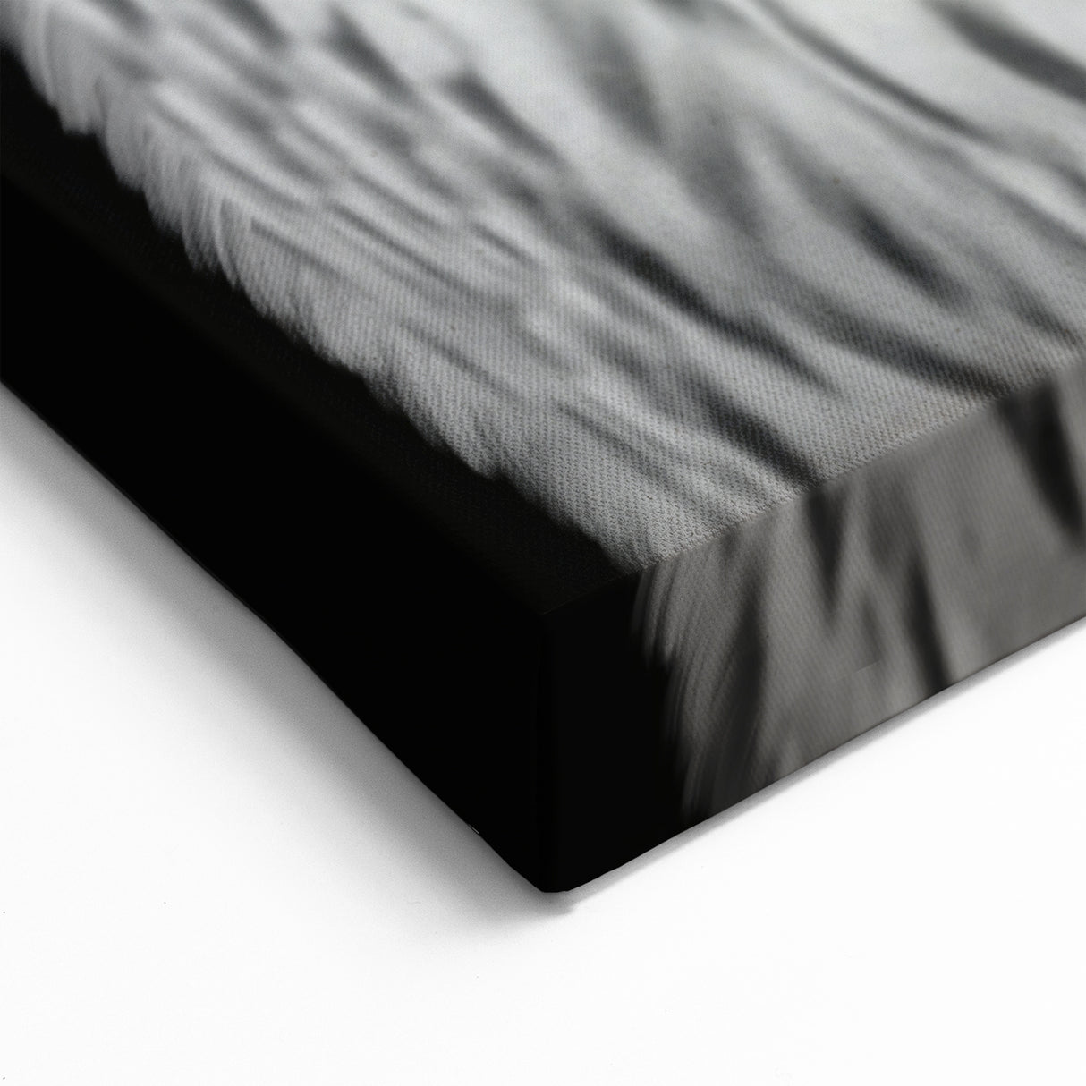 Elegant Owl Duo Wall Art - Majestic Black and White Birds of Prey Canvas