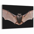 Majestic Bat Wildlife Art - Stunning Night Bat Photography Wall Decor