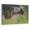 Majestic Owl in Flight - Graceful Birds of Prey Wall Art Photography