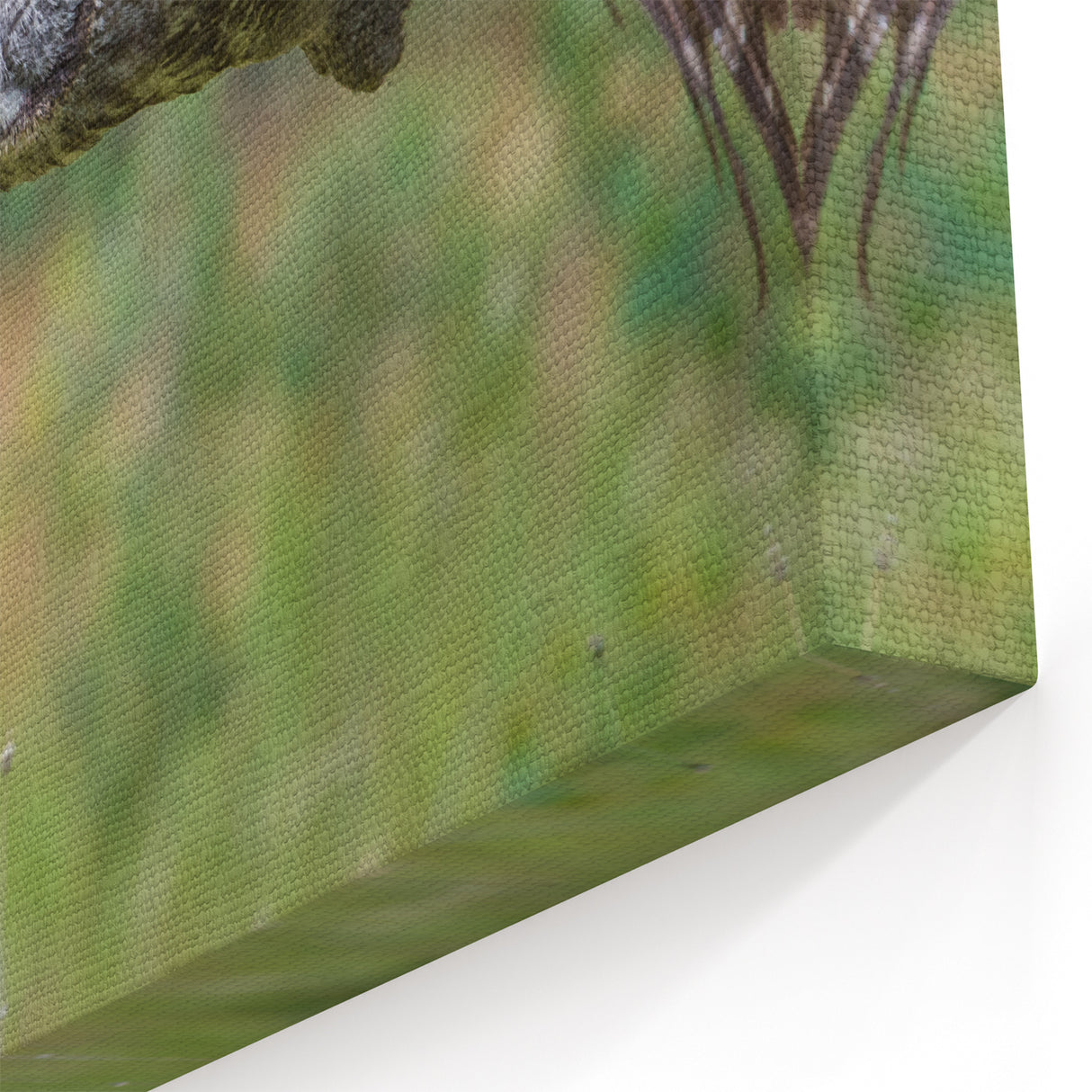 Majestic Owl in Flight - Graceful Birds of Prey Wall Art Photography