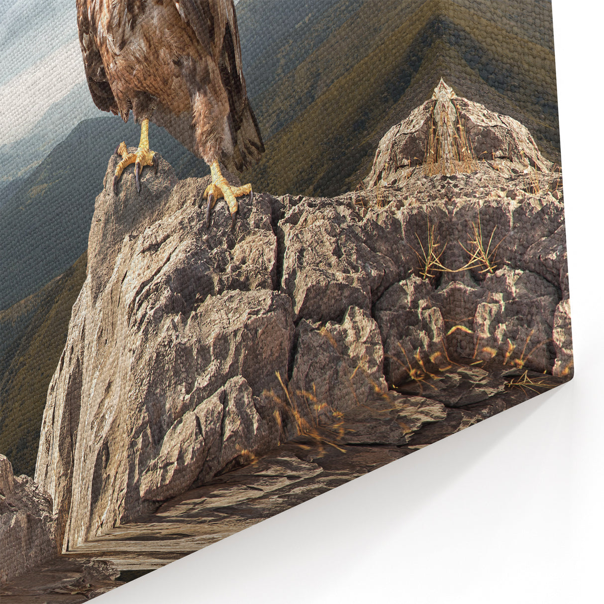Eagle on Mountain Peak - Majestic Birds of Prey Wall Art Landscape
