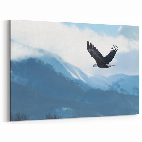 Soaring Eagle Over Mountains - Majestic Birds of Prey Wall Art