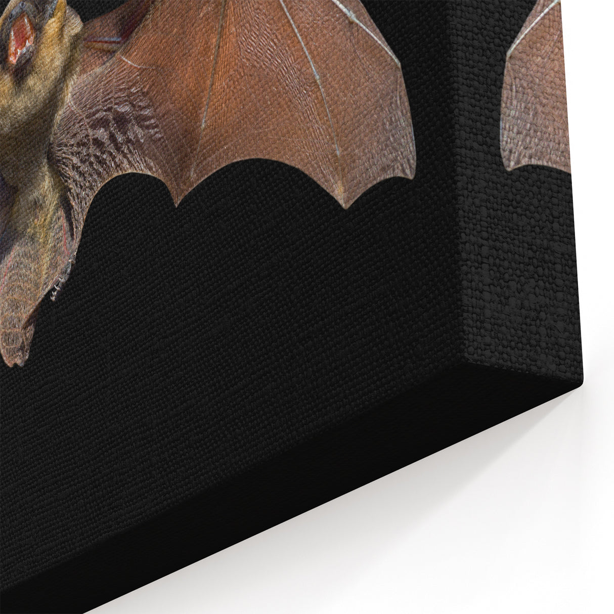 Stunning Bat Wildlife Art - Majestic Bat in Flight Photography Decor