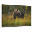 Graceful Brown Bear in the Wild - Elegant Wildlife Photography Canvas Art
