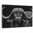 Buffalo Wall Art – Striking Black and White Bison Photography
