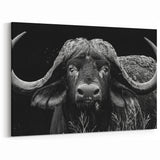 Buffalo Wall Art – Striking Black and White Bison Photography