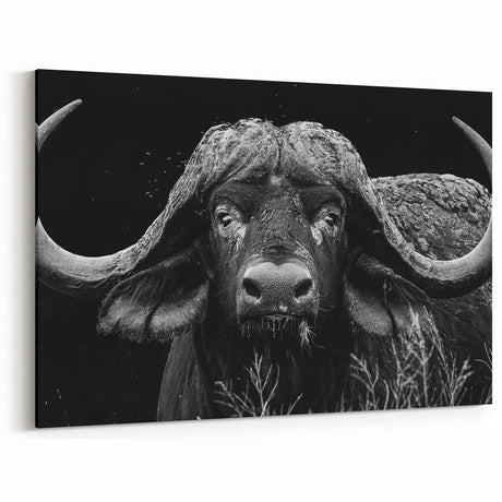 Buffalo Wall Art – Striking Black and White Bison Photography