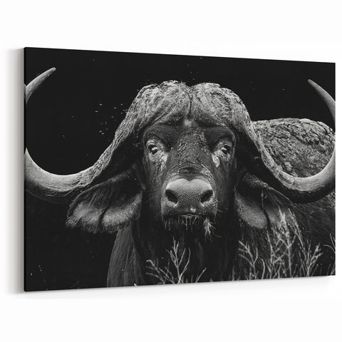 Buffalo Wall Art – Striking Black and White Bison Photography