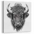 Buffalo Art Print – Detailed Bison Illustration for Modern Decor