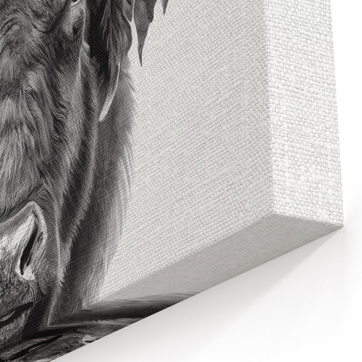 Buffalo Art Print – Detailed Bison Illustration for Modern Decor