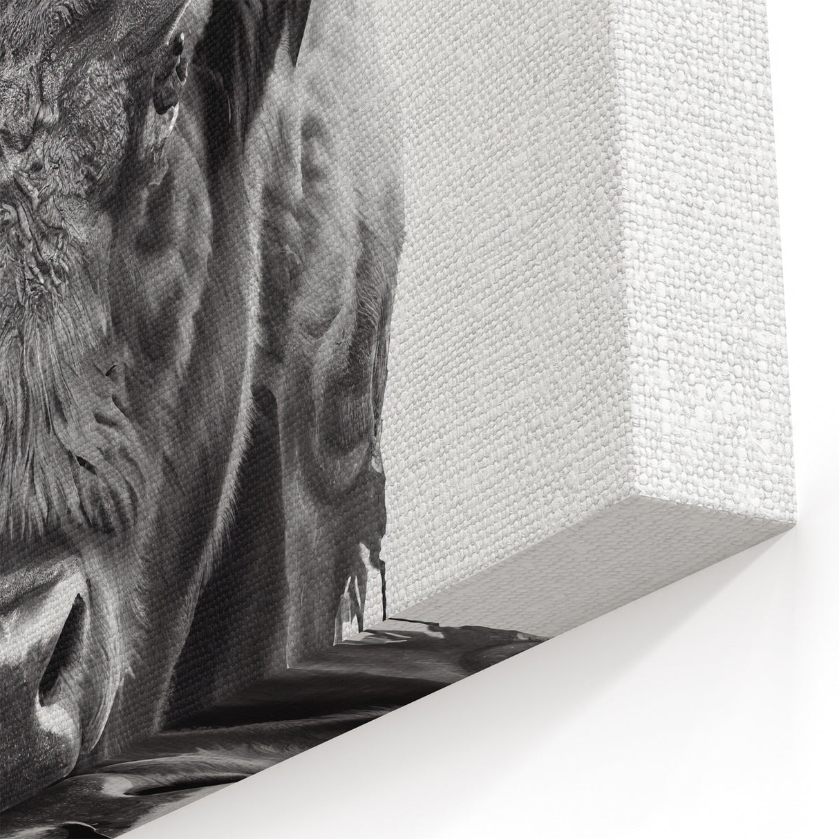 Bison Canvas Art – Detailed Buffalo Illustration for Modern Spaces