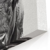 Bison Canvas Art – Detailed Buffalo Illustration for Modern Spaces