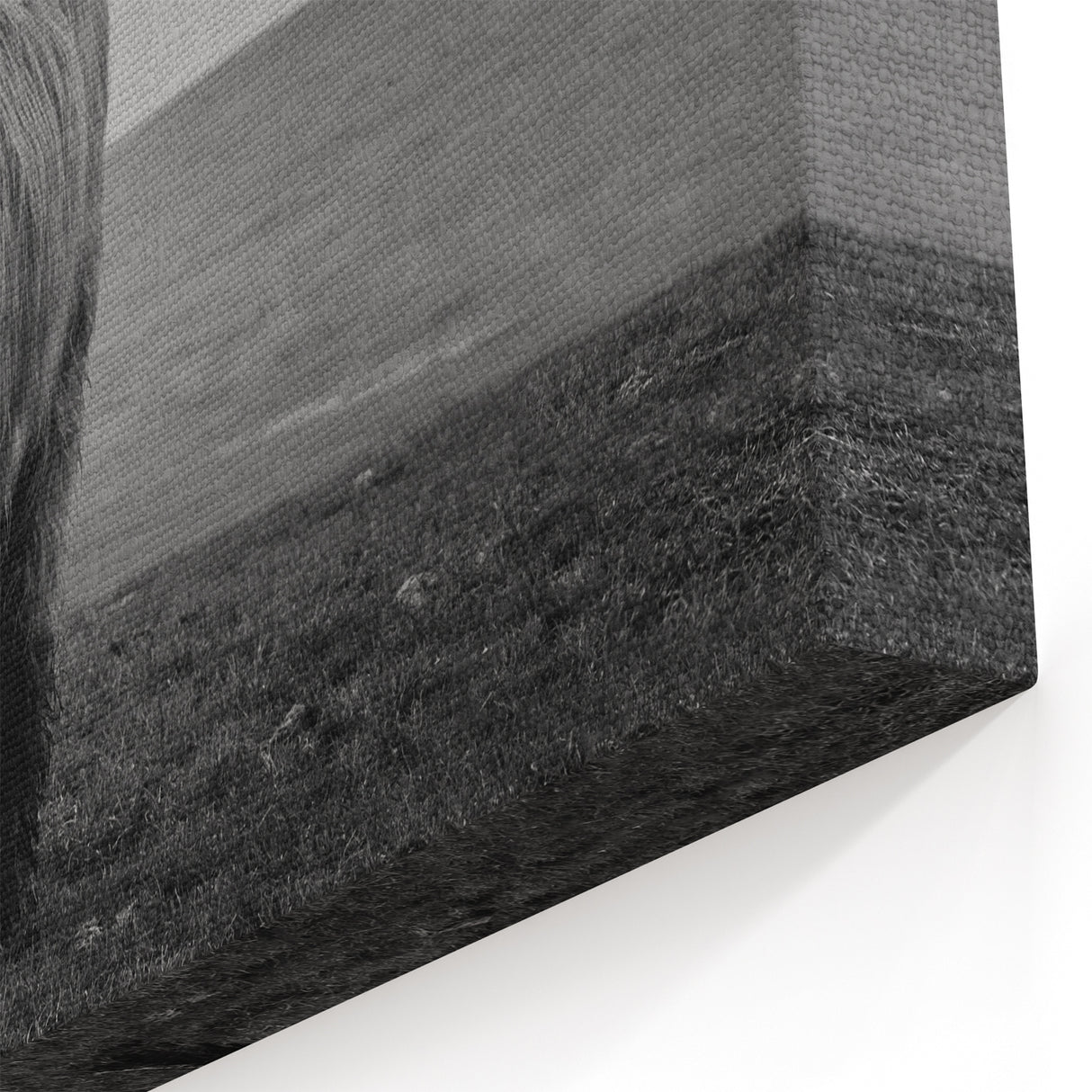 Highland Cow in Black and White – Rustic Wall Art for Modern Decor