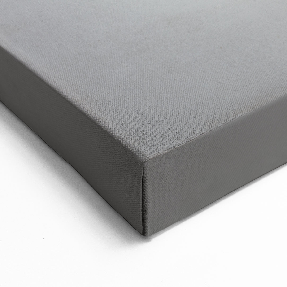 Graceful Bat Wall Art - Stunning Bat Wildlife Photography for Modern Decor