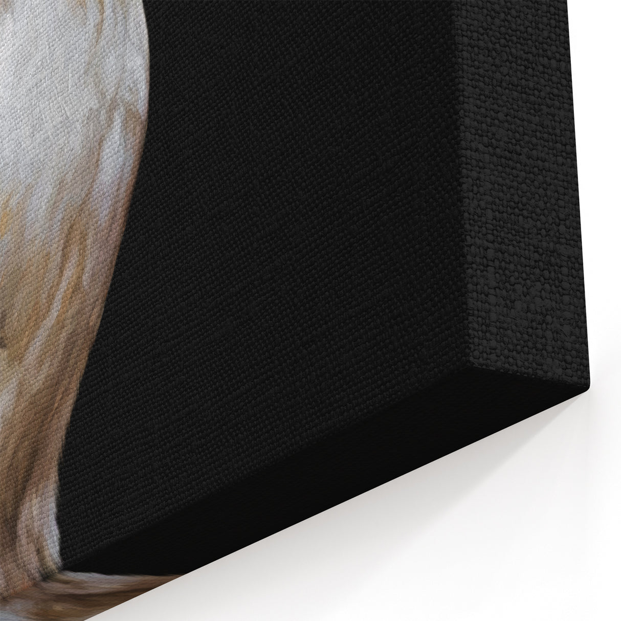Regal White Rooster - Elegant Chicken Wall Art for Modern Decor