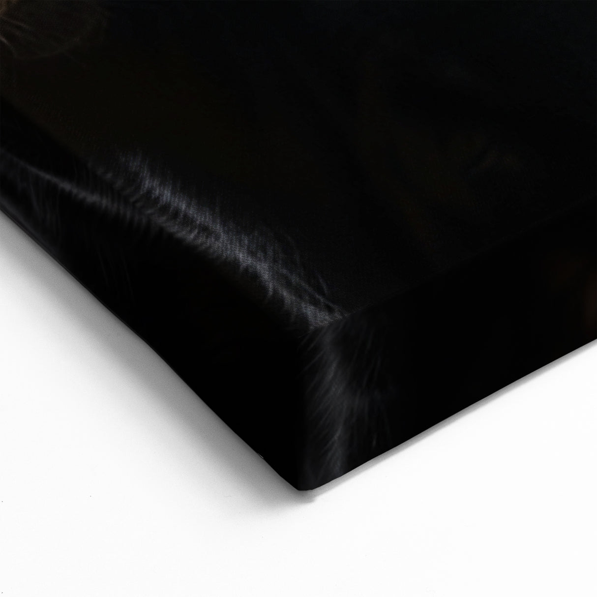 Black Cows Wall Art - Dramatic Cow Canvas for Modern Decor