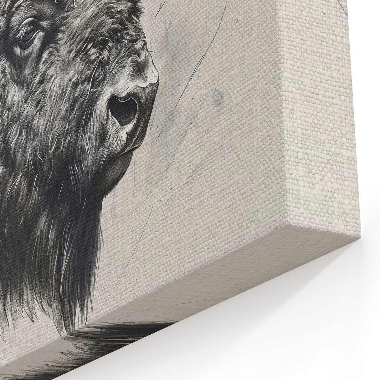 Detailed Bison Wall Art - Monochrome Buffalo Canvas for Rustic Decor