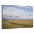 Elegant Crane Wall Art - Majestic Crane Flight over Serene Wetlands Canvas