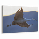 Elegant Crane Wall Art - Graceful Crane in Flight at Dusk Canvas Print