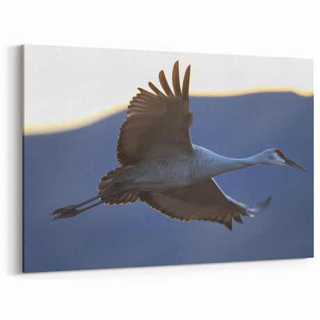 Elegant Crane Wall Art - Graceful Crane in Flight at Dusk Canvas Print