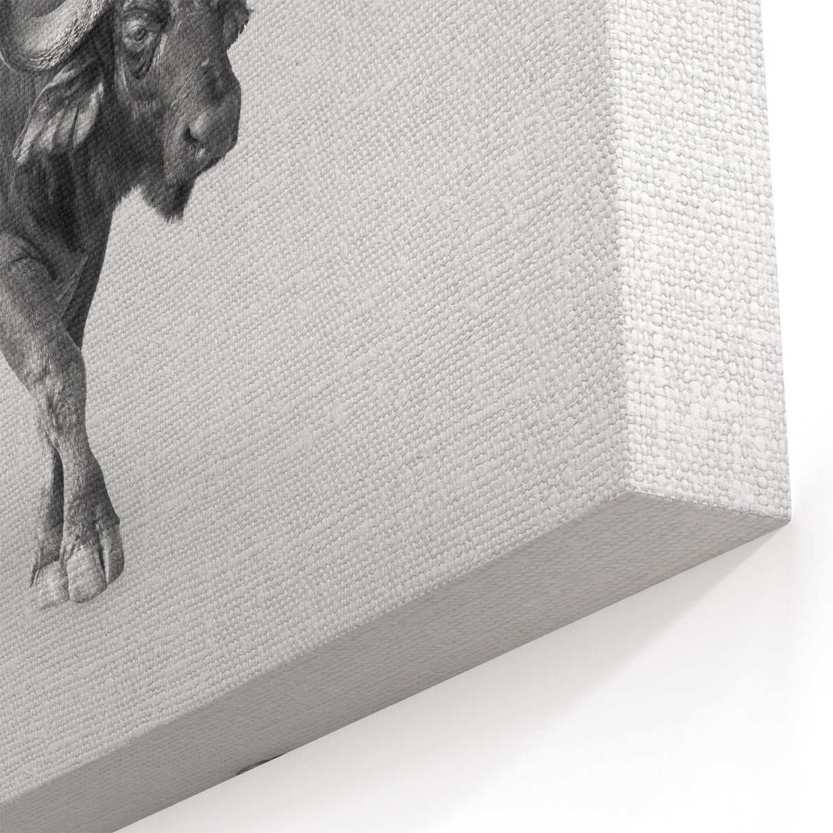 Ethereal Buffalo Art - Monochrome Bison Canvas Print for Modern Decor