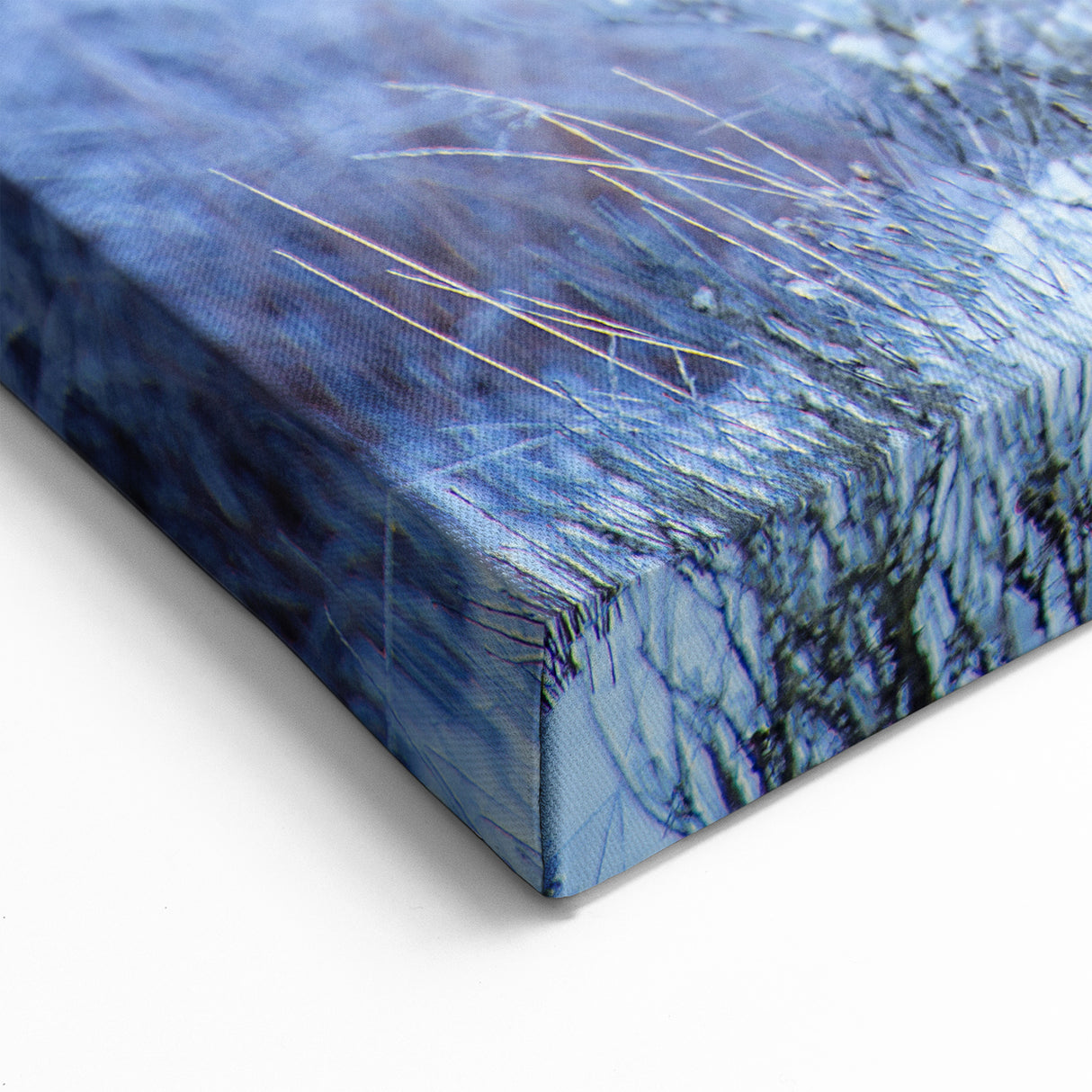 Winter Bison Art - Majestic Buffalo Canvas Print for Rustic Decor