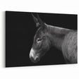 Elegant Donkey Profile - Black and White Canvas Art for Sophisticated Decor