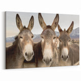 Charming Donkey Wall Art - Rustic Wildlife Canvas & Framed Print