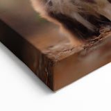 Stunning Australian Shepherd Canvas - Australian Shepherd Wall Decor