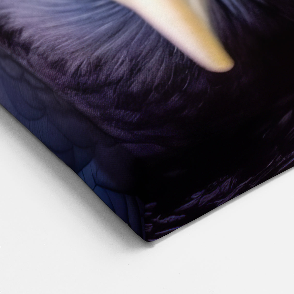 Vibrant Crow Photography - Playful Raven Print in Nature Setting