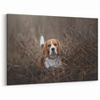Adorable Basset Hound Wall Art - Basset Hound Print for Nature Lovers