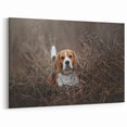 Adorable Basset Hound Wall Art - Basset Hound Print for Nature Lovers