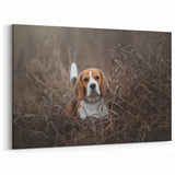 Adorable Basset Hound Wall Art - Basset Hound Print for Nature Lovers