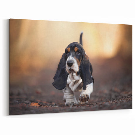 Playful Basset Hound Wall Art - Basset Hound Print for Pet Lovers
