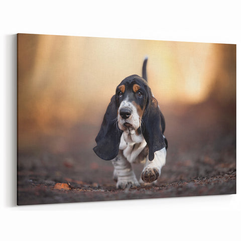 Playful Basset Hound Wall Art - Basset Hound Print for Pet Lovers