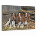 Adorable Basset Hound Trio Wall Art - Basset Hound Print for Dog Lovers